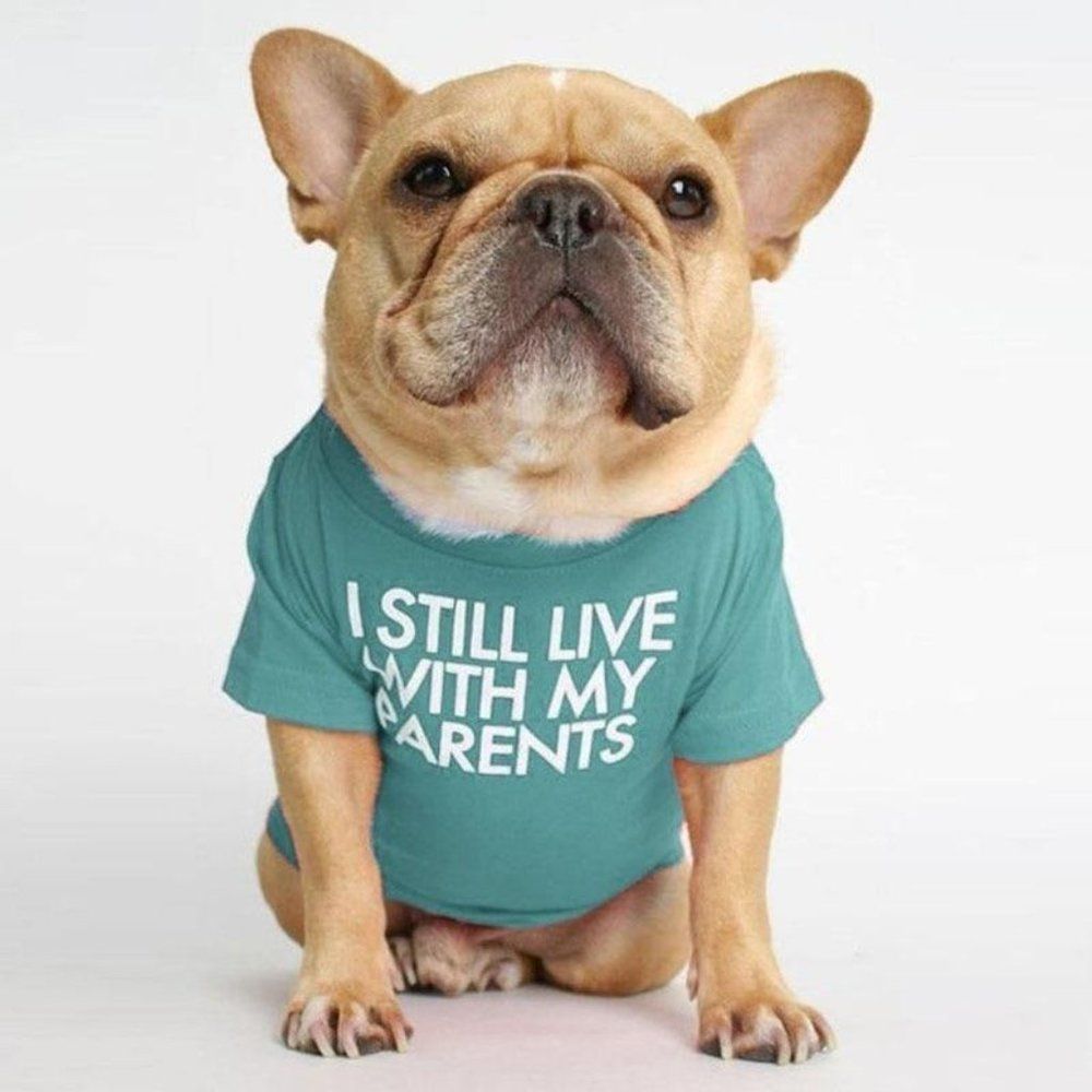 "Still Live With My Parents" Pet Shirt - All Sizes- Aqua - NWT